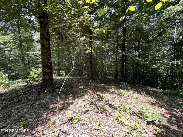 $249,900 | 1255 Winningham Road, Byrdstown, TN 38549