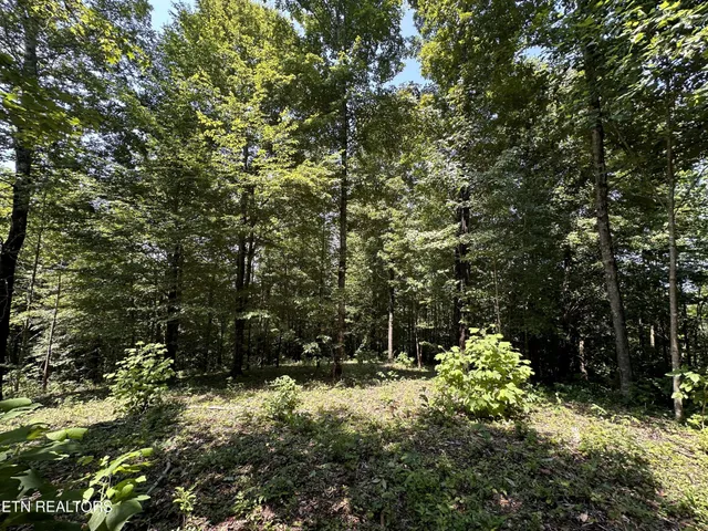 $249,900 | 1255 Winningham Road, Byrdstown, TN 38549