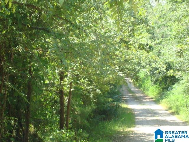 0 Dabbs Road, Unit 19 & 20 Oxford, AL 36203 - Photo 12 of 33