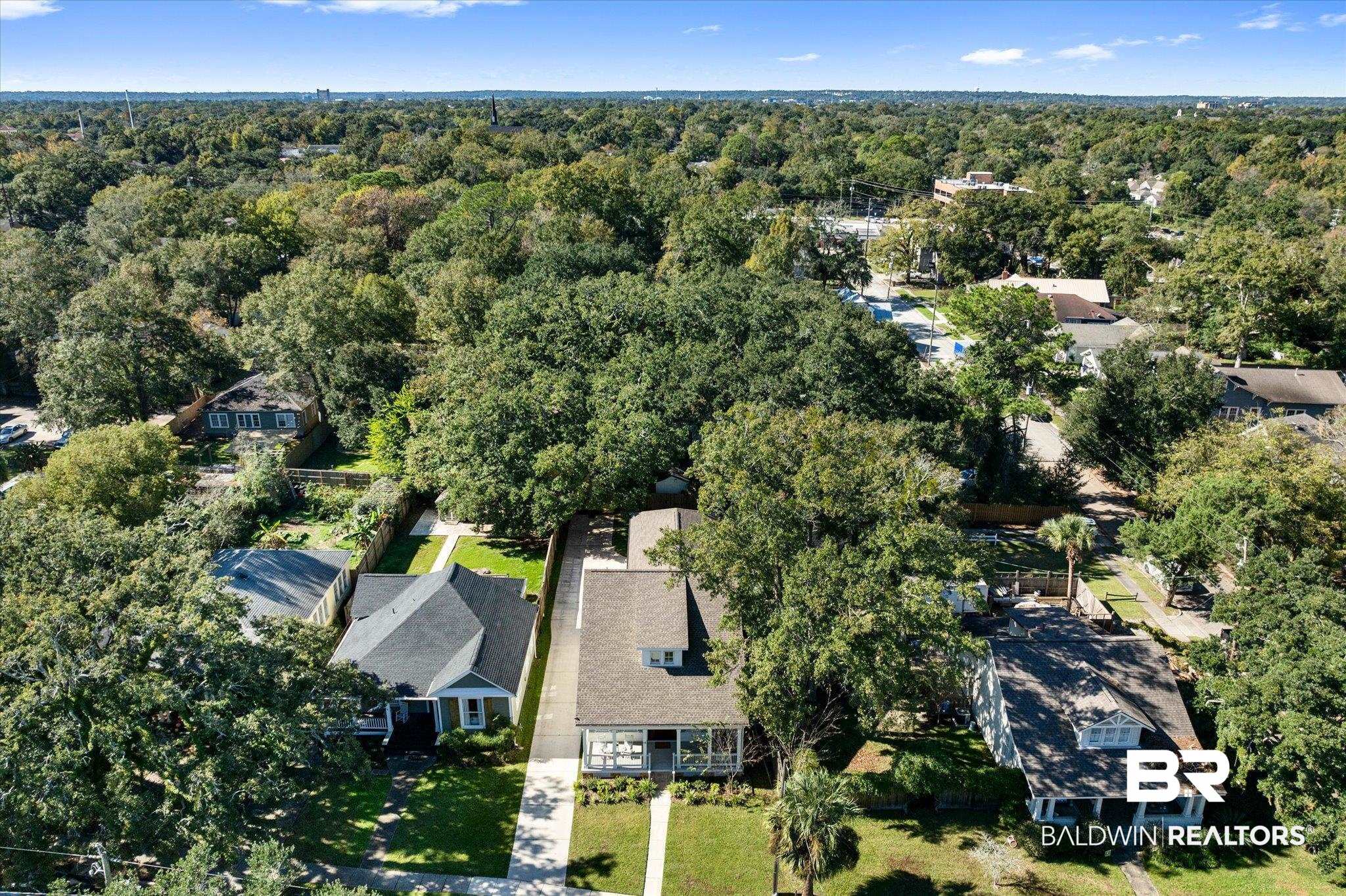 15 Semmes Avenue Mobile, AL 36604 - Photo 38 of 43 Aerial view