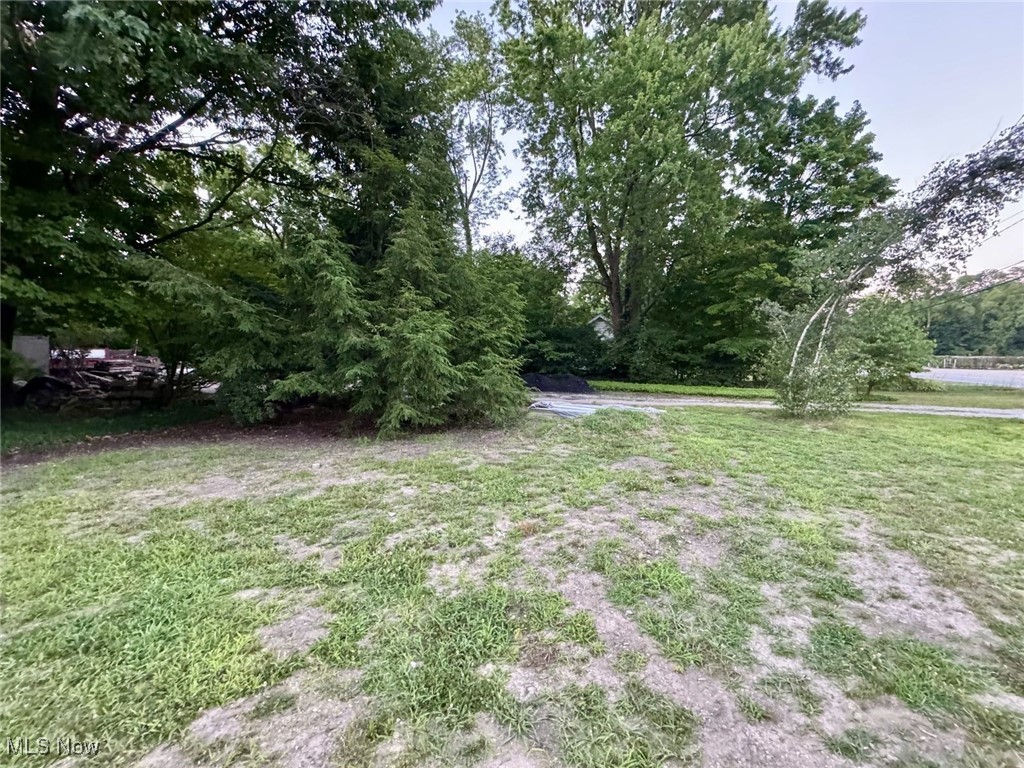 500 Park Road Painesville, OH 44077 - Photo 10 of 12 View of yard