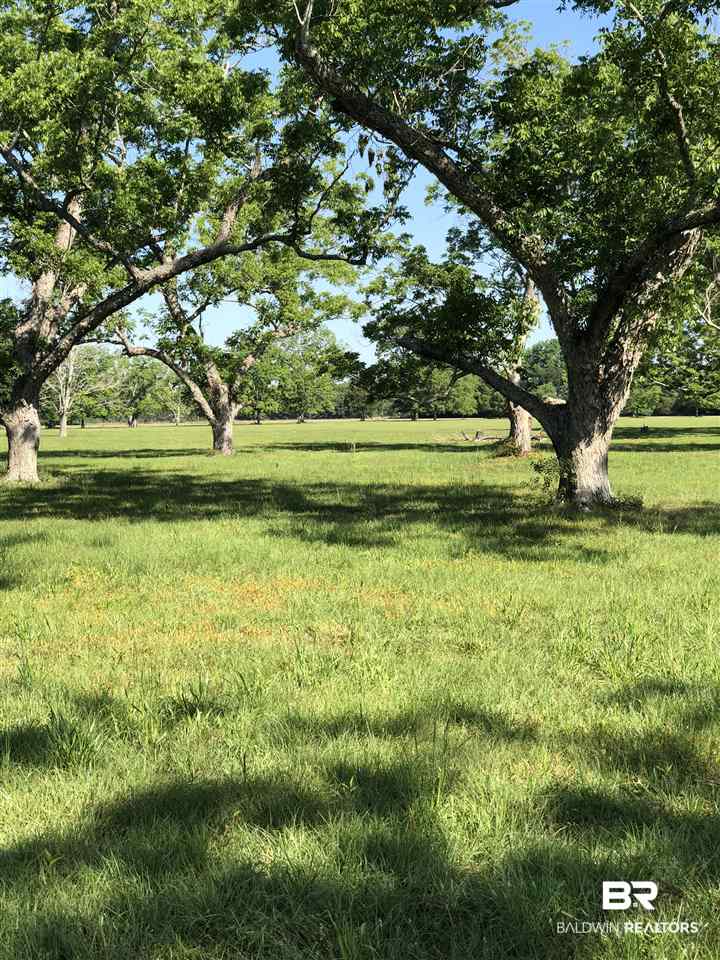 Lot 3 Breman Road Elberta, AL 36530 - Photo 2 of 2