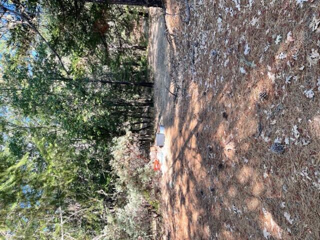278 Highland Ranch Road Grants Pass, OR 97526 - Photo 1 of 8 cleared level ready for build