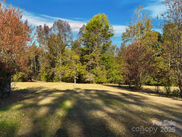 a view of empty field with trees in background