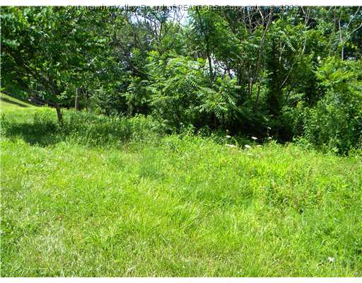 2049 Smith Road Charleston, WV 25314 - Photo 1 of 2 Land/Lot.
