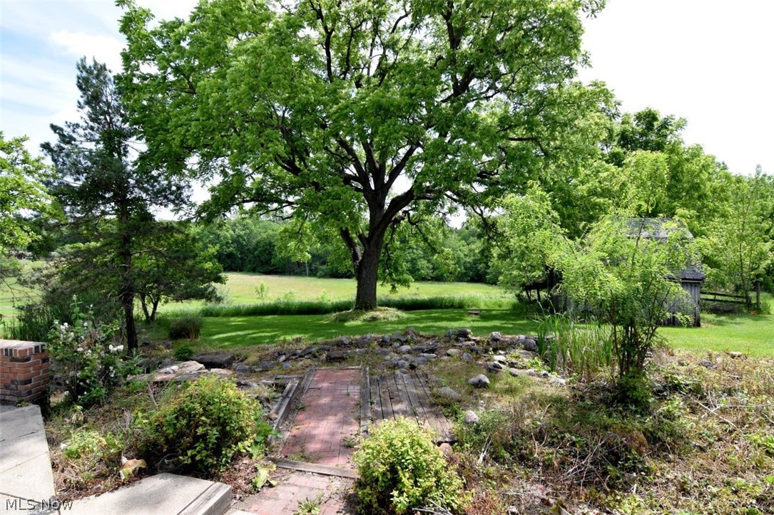 7251 Ryan Road Medina, OH 44256 - Photo 43 of 47 Yard