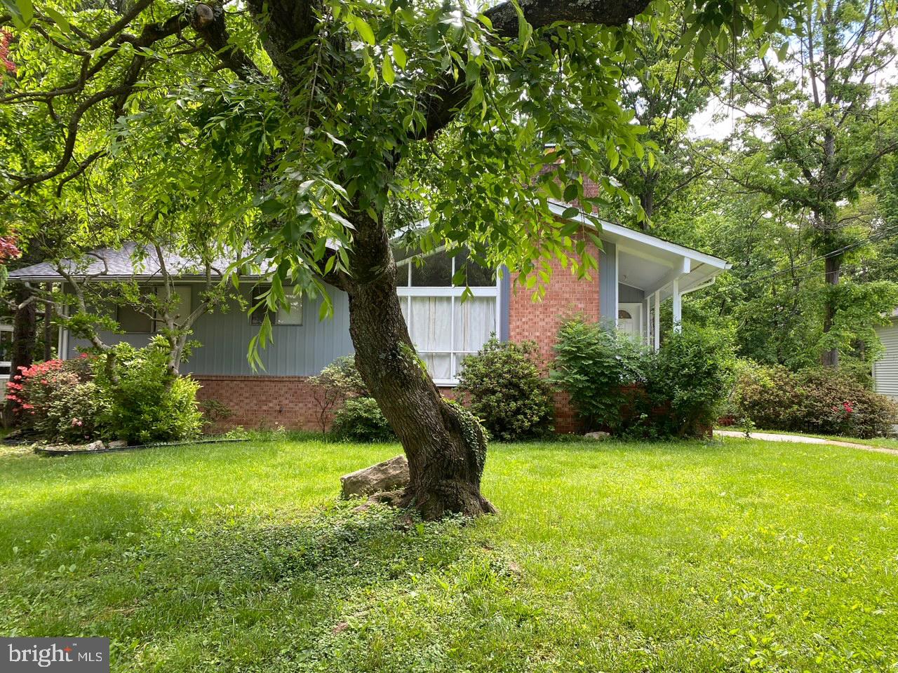 a front view of a house with yard and green space