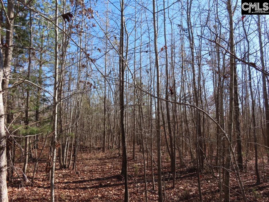 637 Cook Road Ridgeway, SC 29130 - Photo 35 of 51