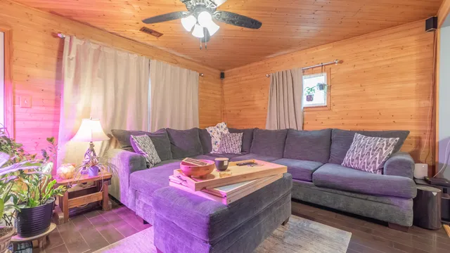 a living room with furniture and a potted plant
