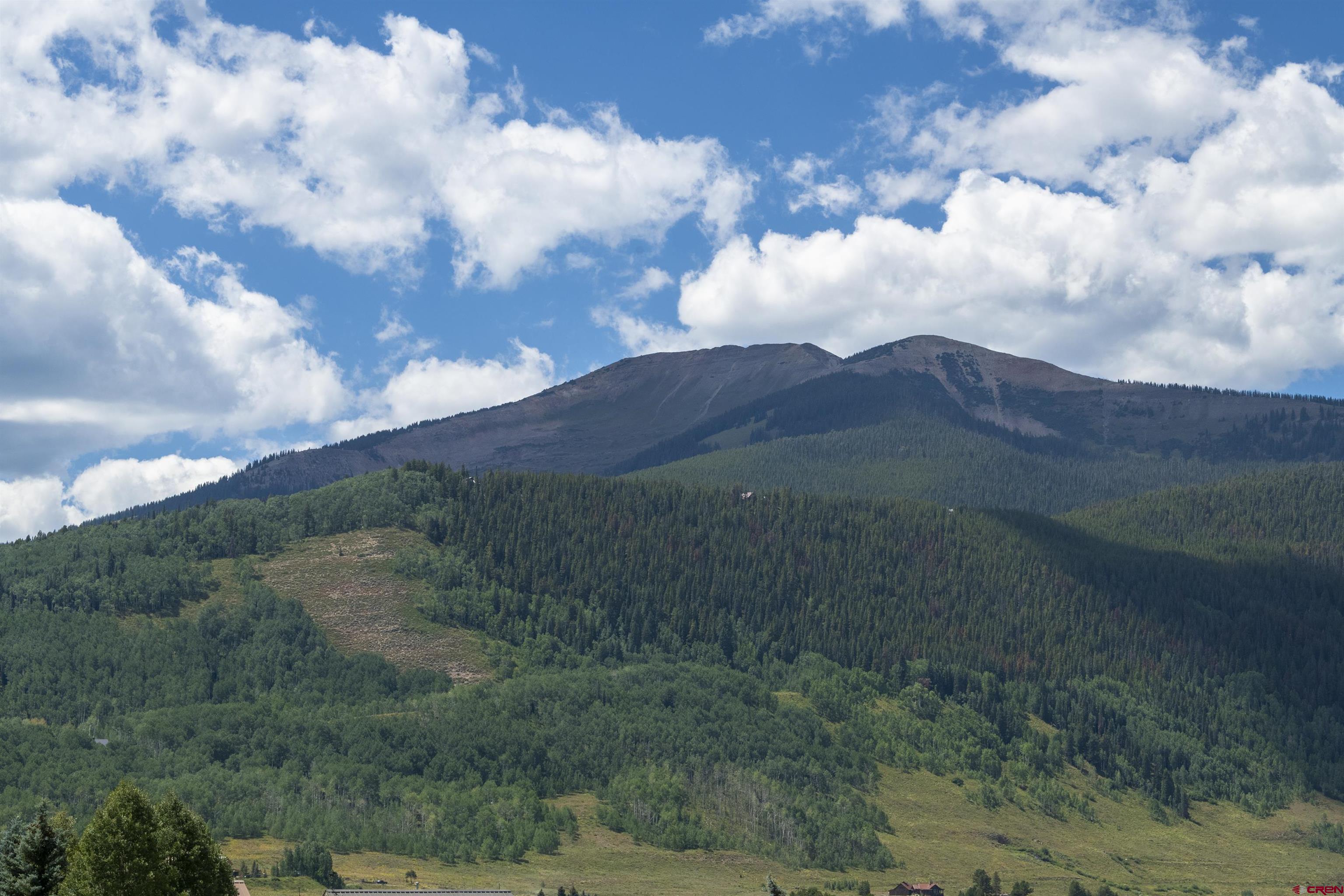 55 Pyramid Avenue Crested Butte, CO 81224 - Photo 33 of 35 a view of a big yard with lots of green space