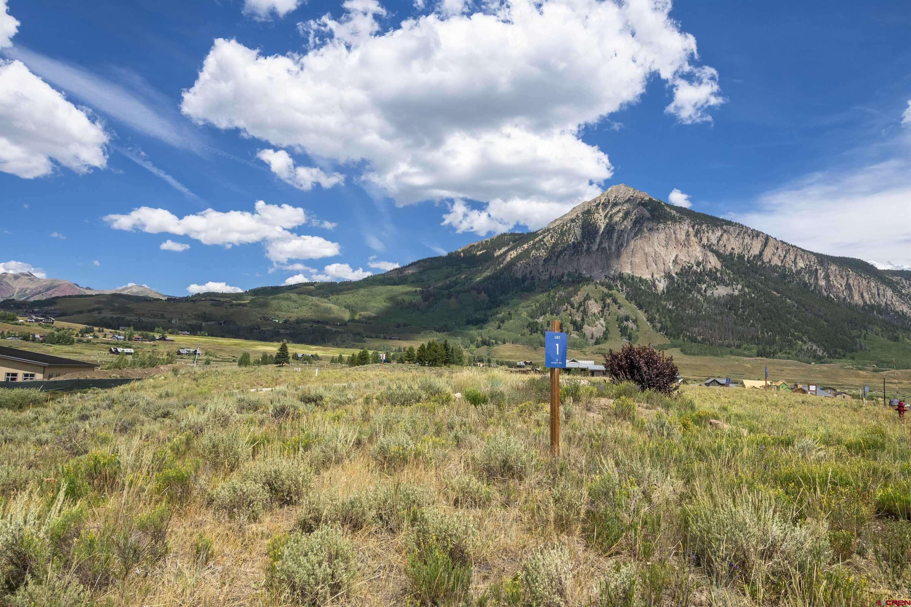 55 Pyramid Avenue Crested Butte, CO 81224 - Photo 6 of 35 a view of a yard with an ocean
