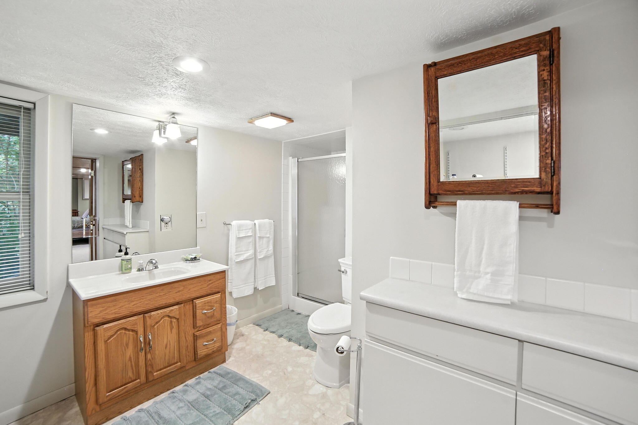 17404 West Rose Lake Road Leroy, MI 49655 - Photo 23 of 37 basement bathroom