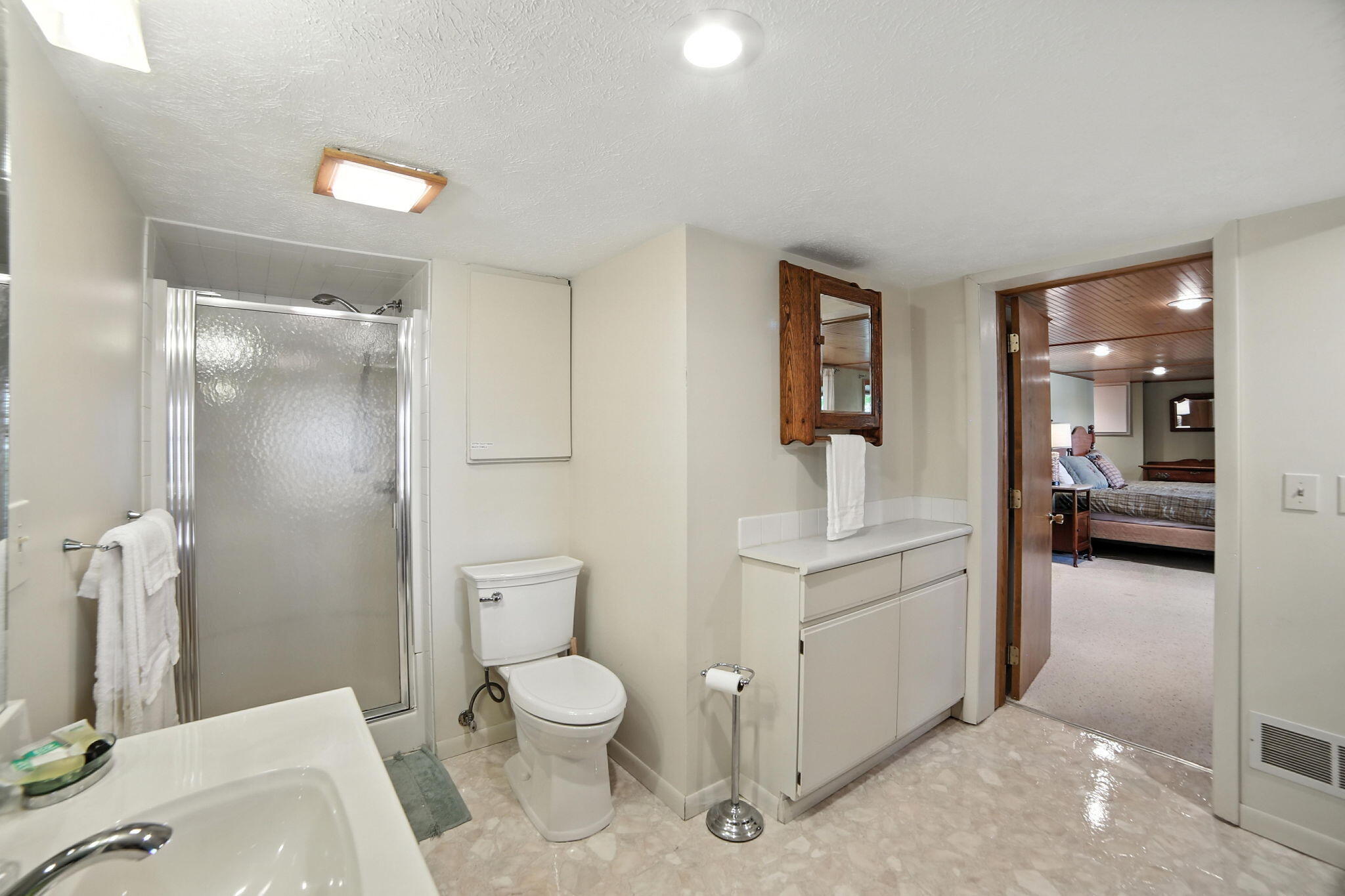 17404 West Rose Lake Road Leroy, MI 49655 - Photo 24 of 37 basement bathroom