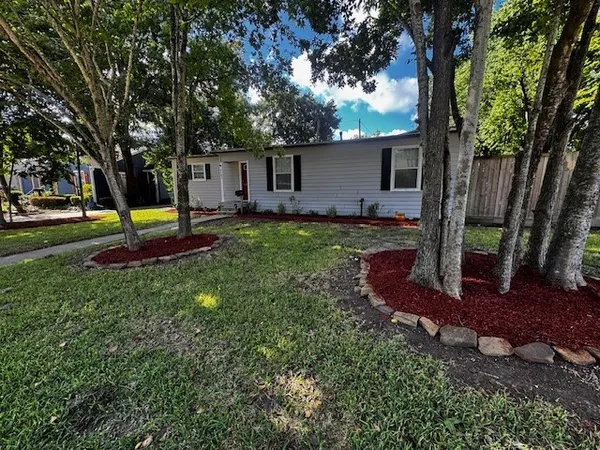 a view of a backyard with a tree