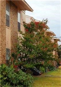 500 East 7th Street Springtown, TX 76082 - Photo 3 of 6