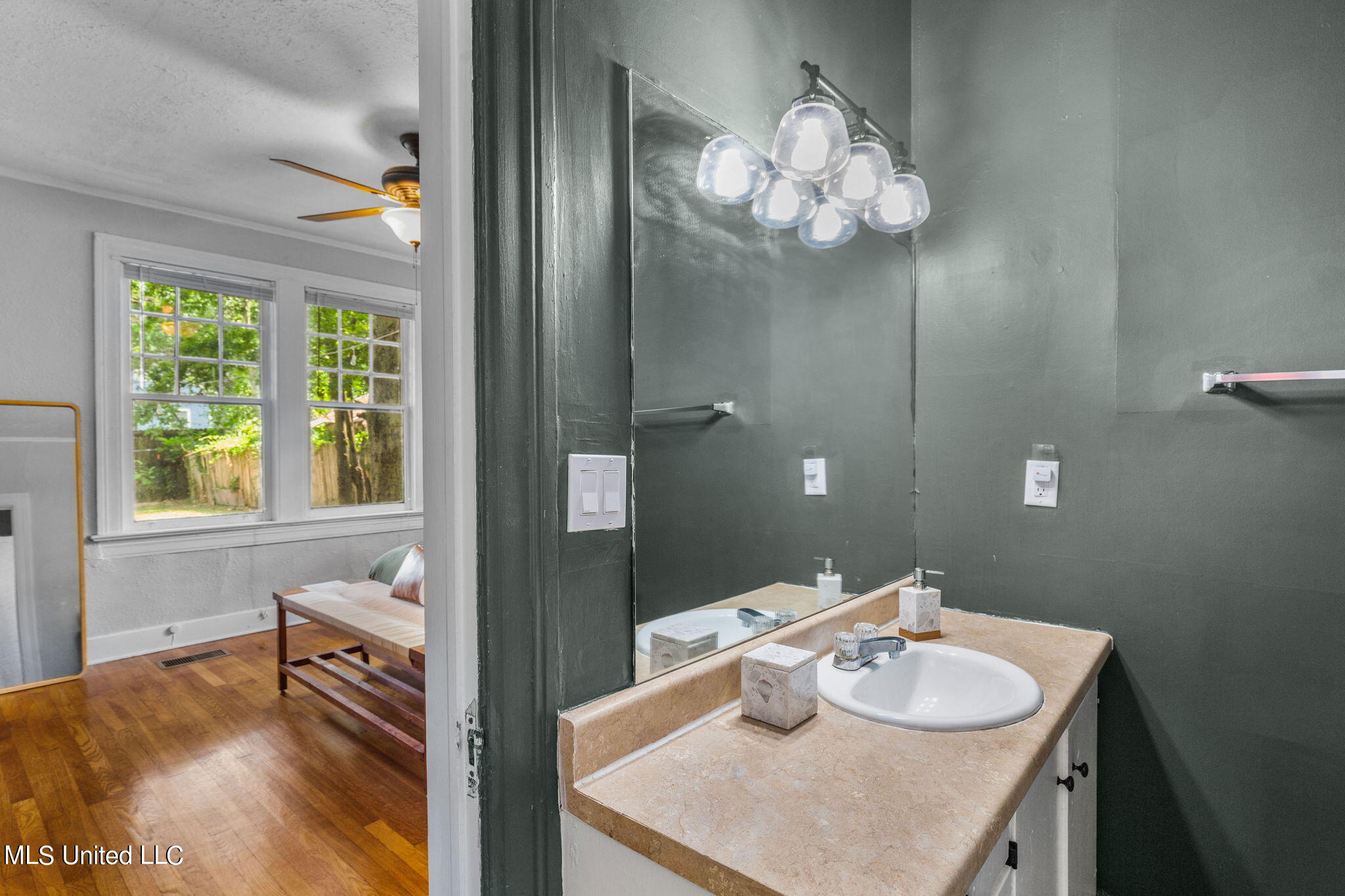 485 East Ridgeway Street Jackson, MS 39206 - Photo 22 of 37 Primary Bath with updated lighting