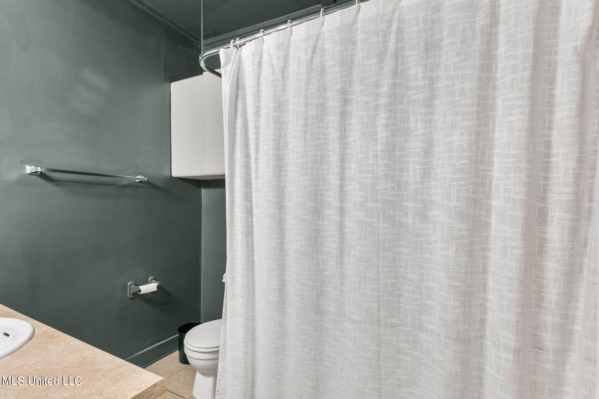 485 East Ridgeway Street Jackson, MS 39206 - Photo 23 of 37 old school shower ring!