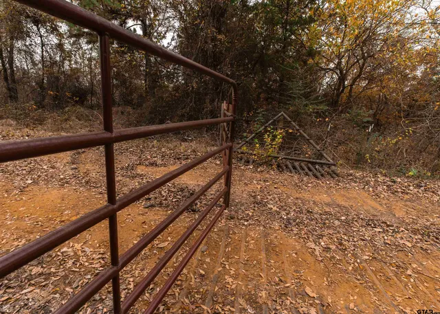 $324,000 | 0 County Road 3272, Frankston, TX 75763