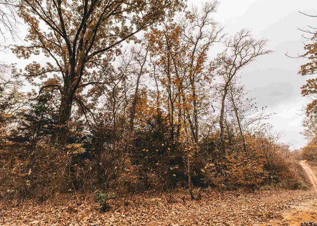 $324,000 | 0 County Road 3272, Frankston, TX 75763