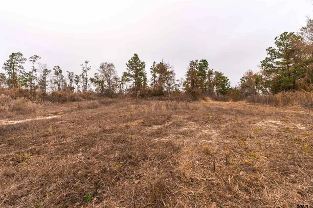 $324,000 | 0 County Road 3272, Frankston, TX 75763