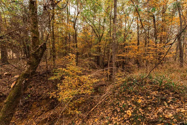 $324,000 | 0 County Road 3272, Frankston, TX 75763