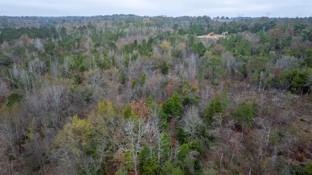 $324,000 | 0 County Road 3272, Frankston, TX 75763