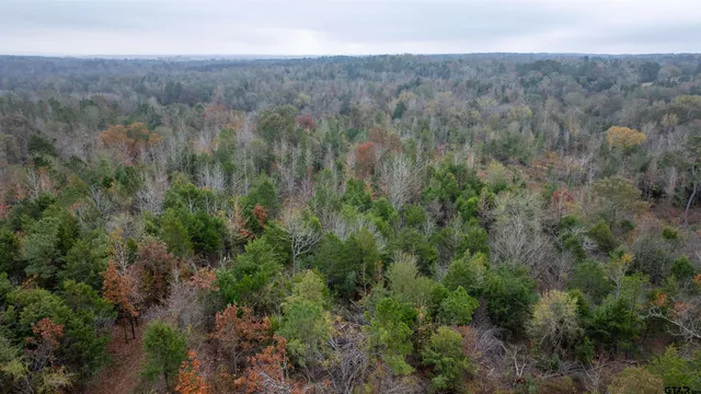 $324,000 | 0 County Road 3272, Frankston, TX 75763