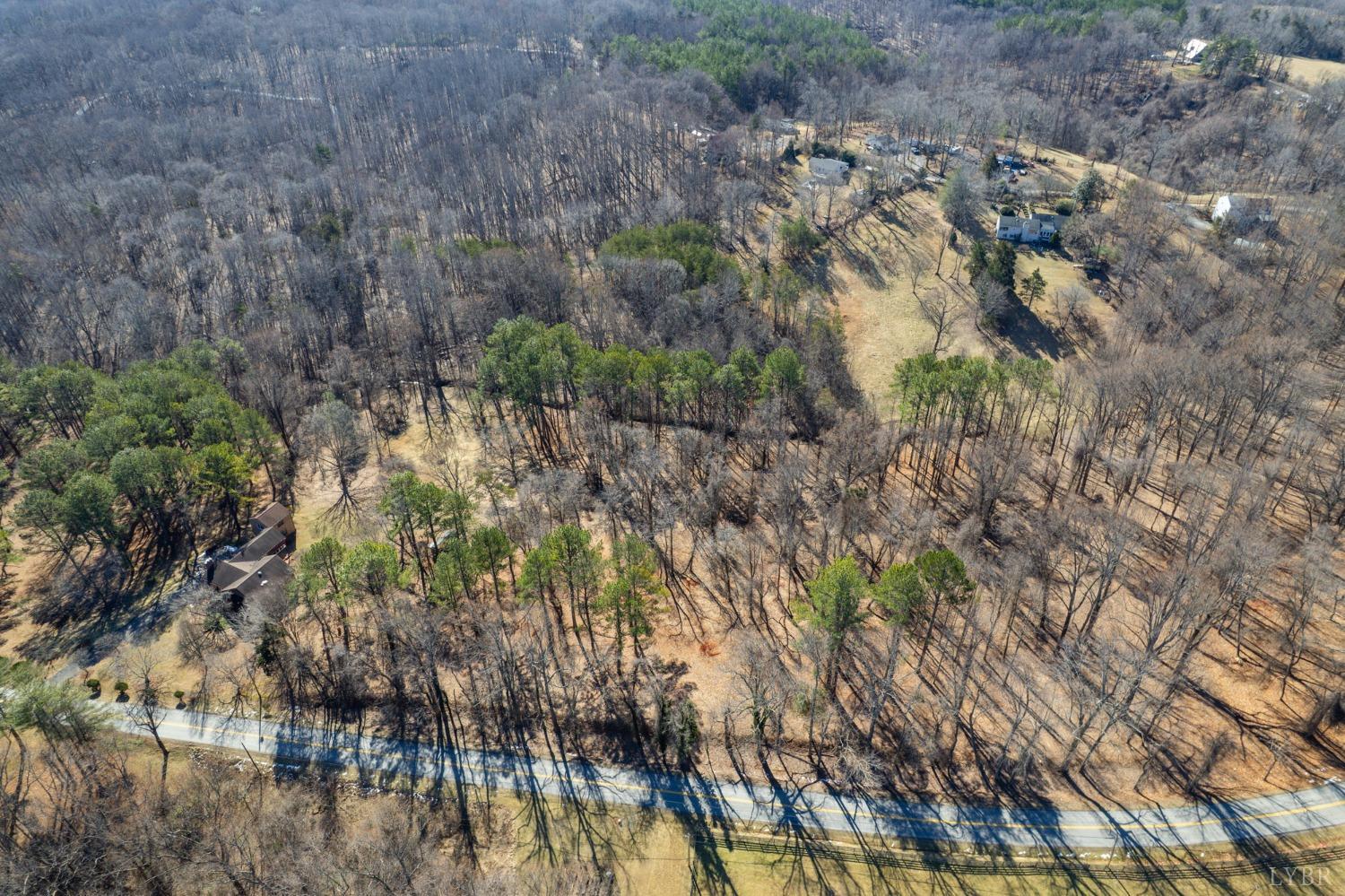 2 Trents Ferry Road Lynchburg, VA 24503 - Photo 7 of 10 a view of a forest with a tree