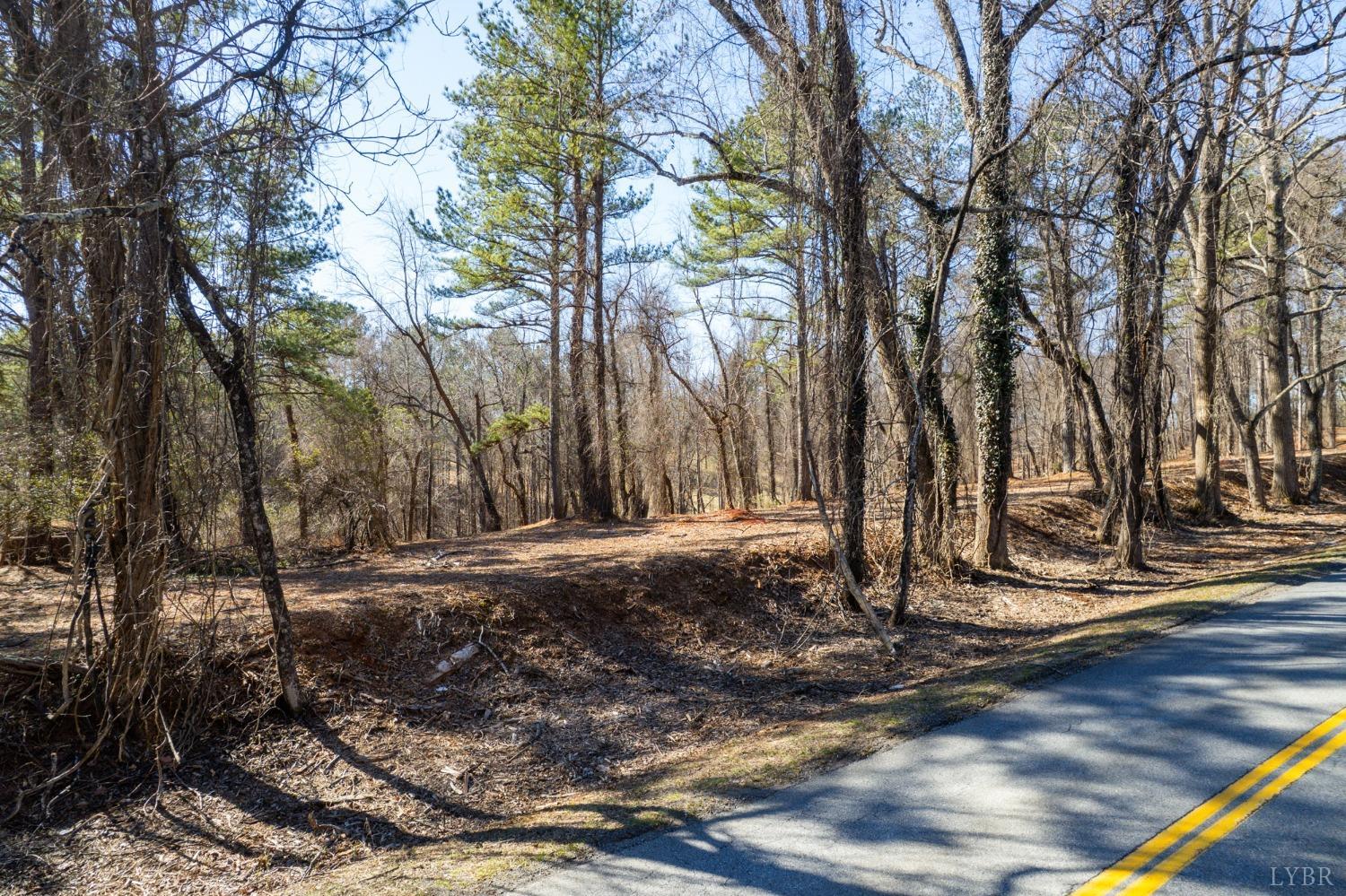 2 Trents Ferry Road Lynchburg, VA 24503 - Photo 8 of 10 a view of a yard with tree s