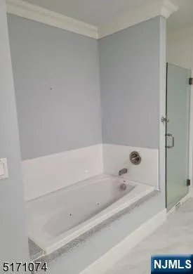 a bathroom with a bathtub and shower