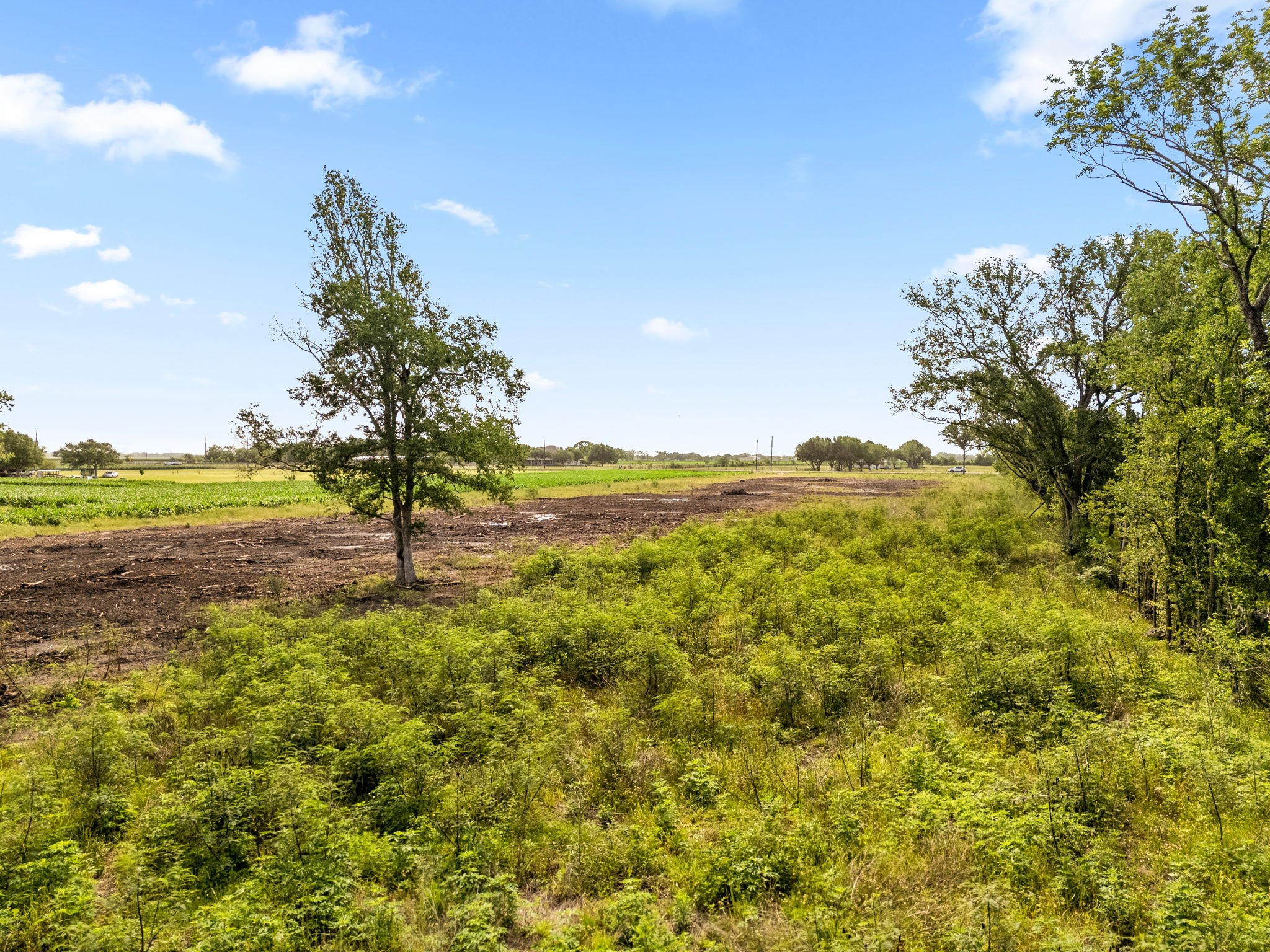 0 Modena School Road Rosenberg, TX 77471 - Photo 12 of 15