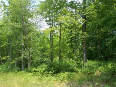 Mohawk Dr Spring Lake Spring Lake, MI 49456 - Photo 1 of 2 Primary Photo