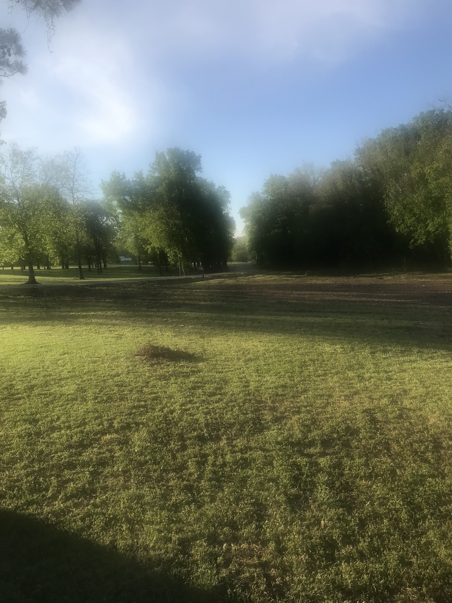 0 Frank Moore Road Culleoka, TN 38451 - Photo 3 of 8