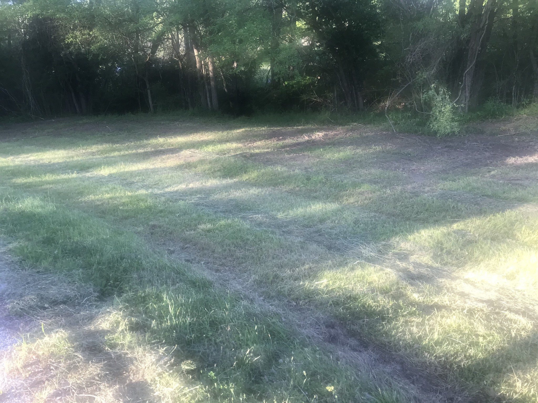 0 Frank Moore Road Culleoka, TN 38451 - Photo 4 of 8