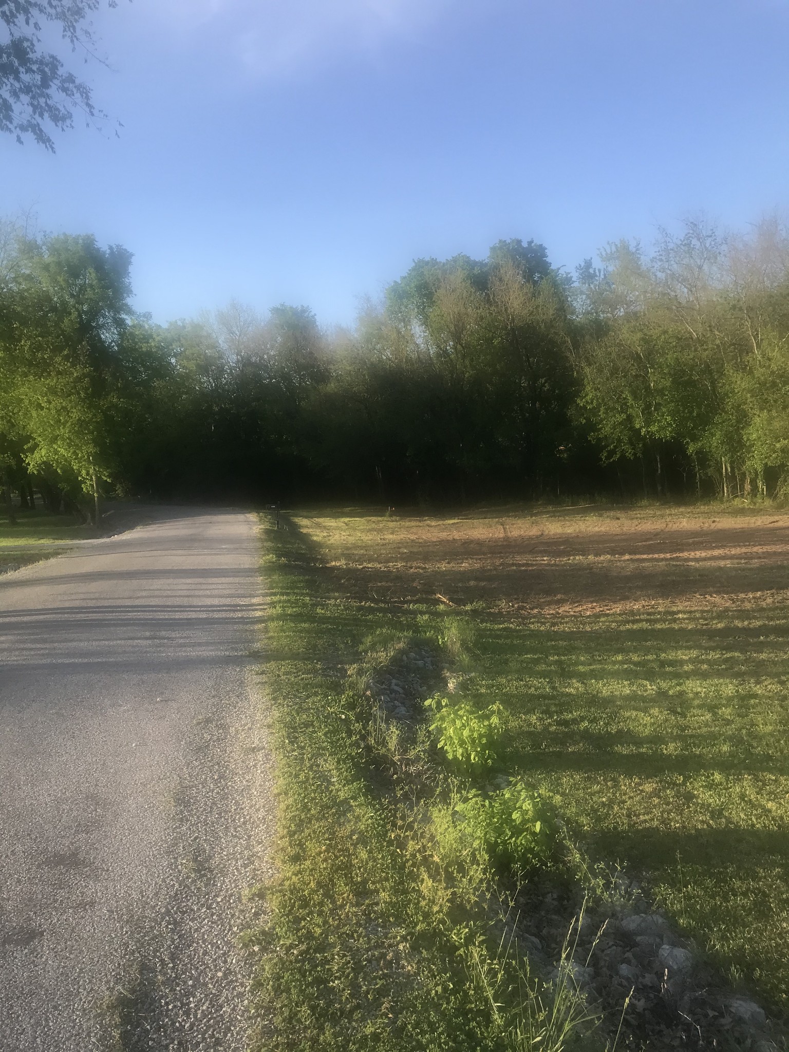 0 Frank Moore Road Culleoka, TN 38451 - Photo 7 of 8