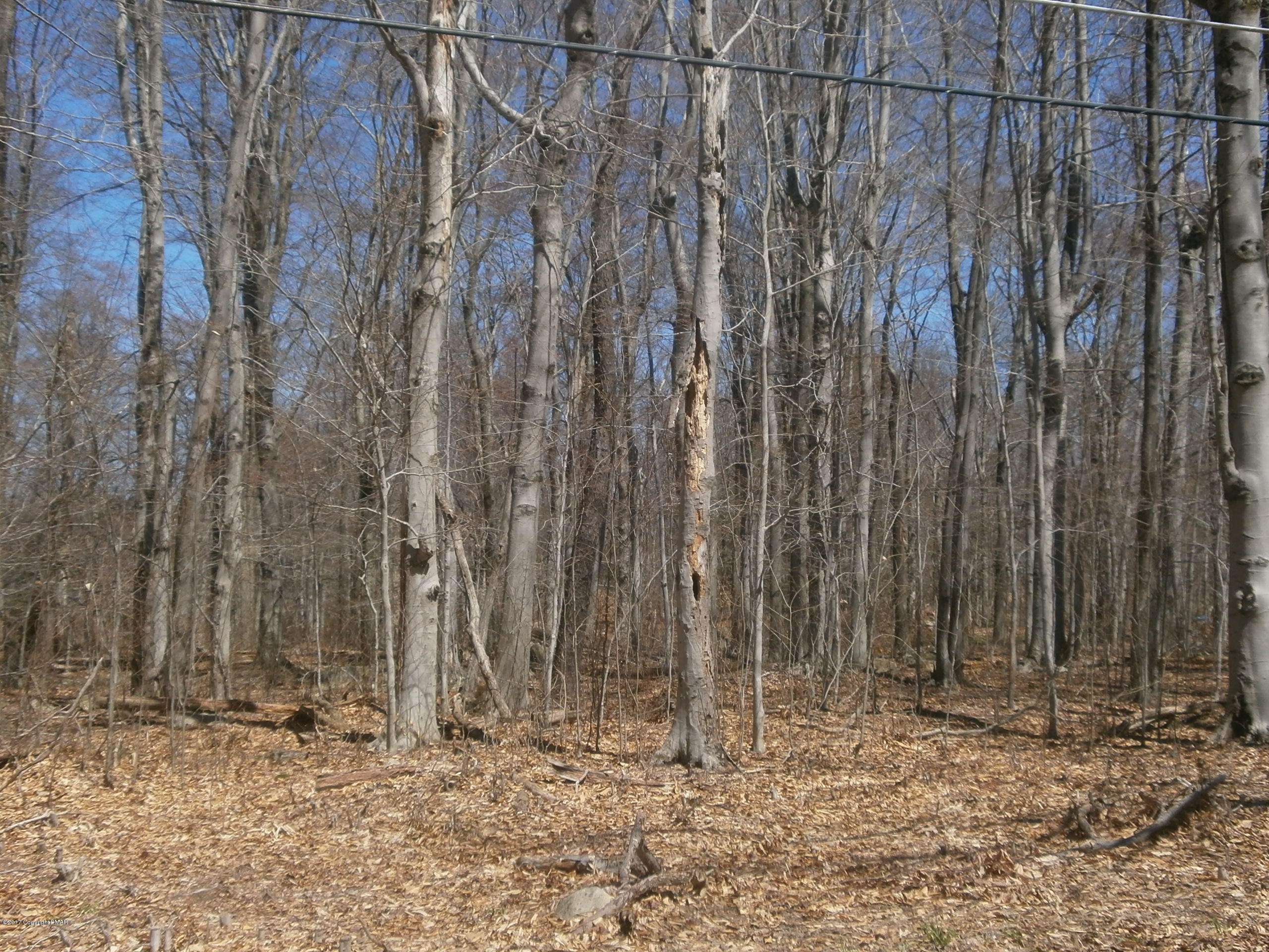 Logger Road Canadensis, PA 18325 - Photo 1 of 16 Logger Rd