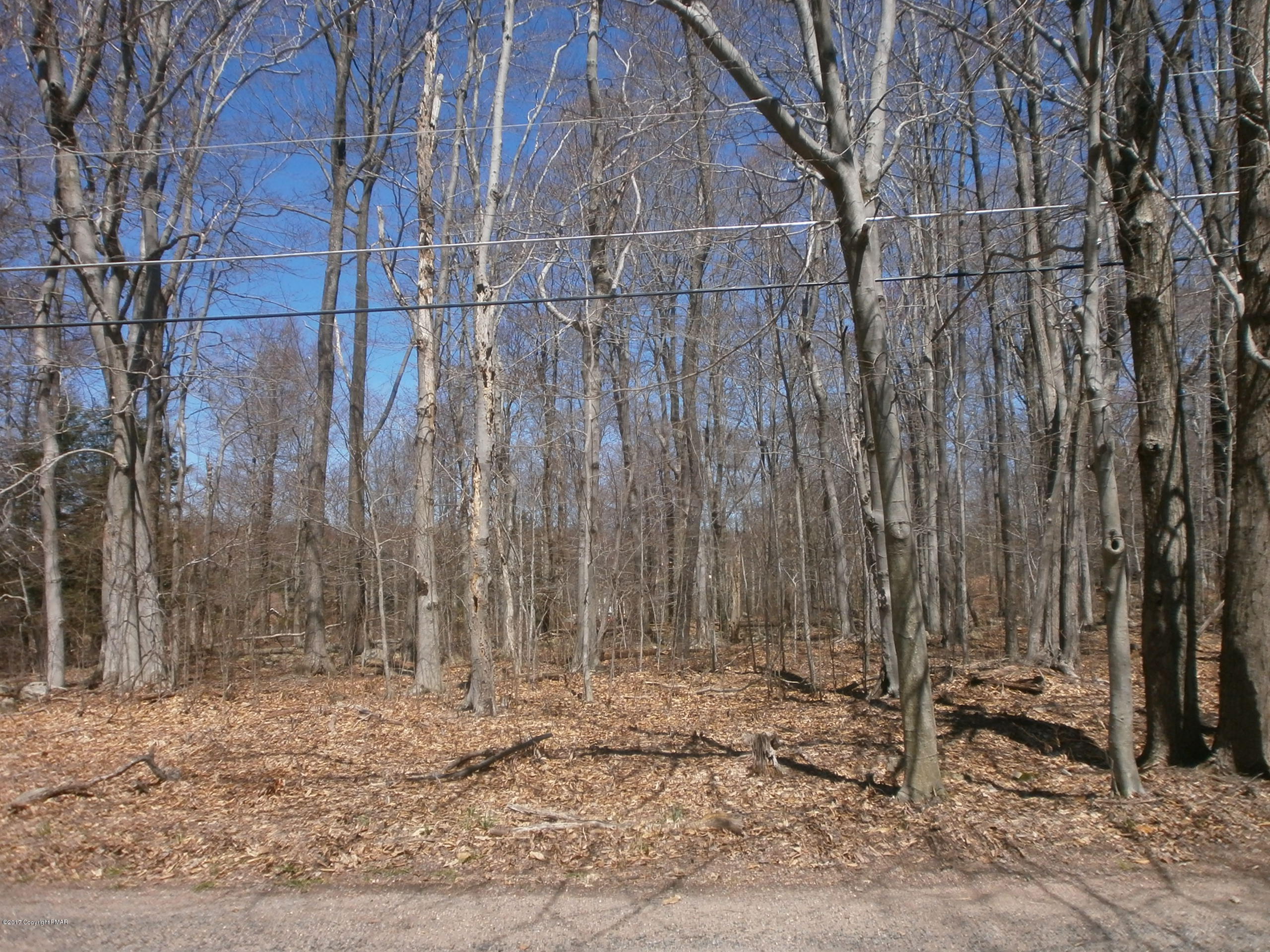 Logger Road Canadensis, PA 18325 - Photo 2 of 16 Logger Rd