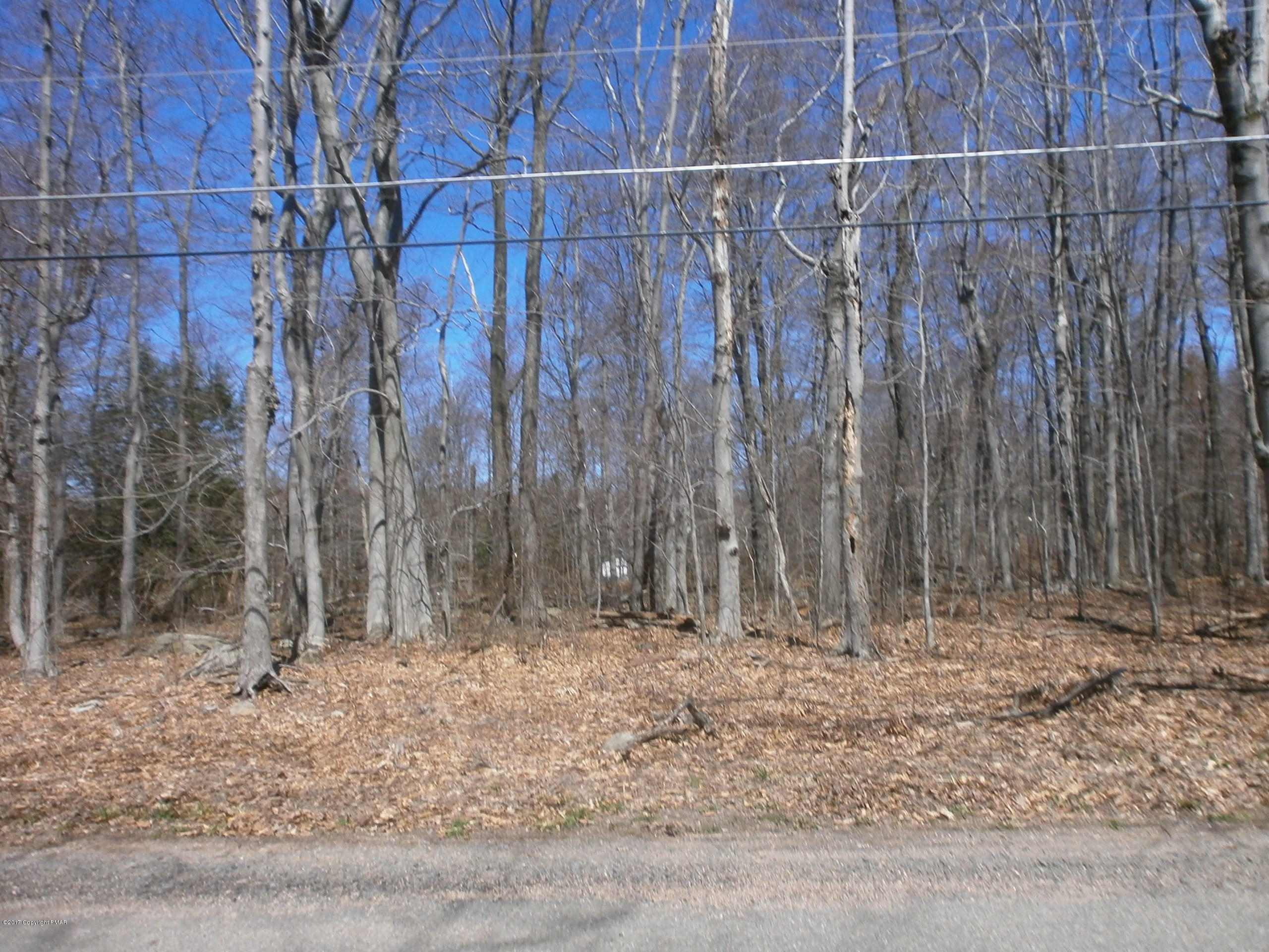 Logger Road Canadensis, PA 18325 - Photo 3 of 16 Logger Rd