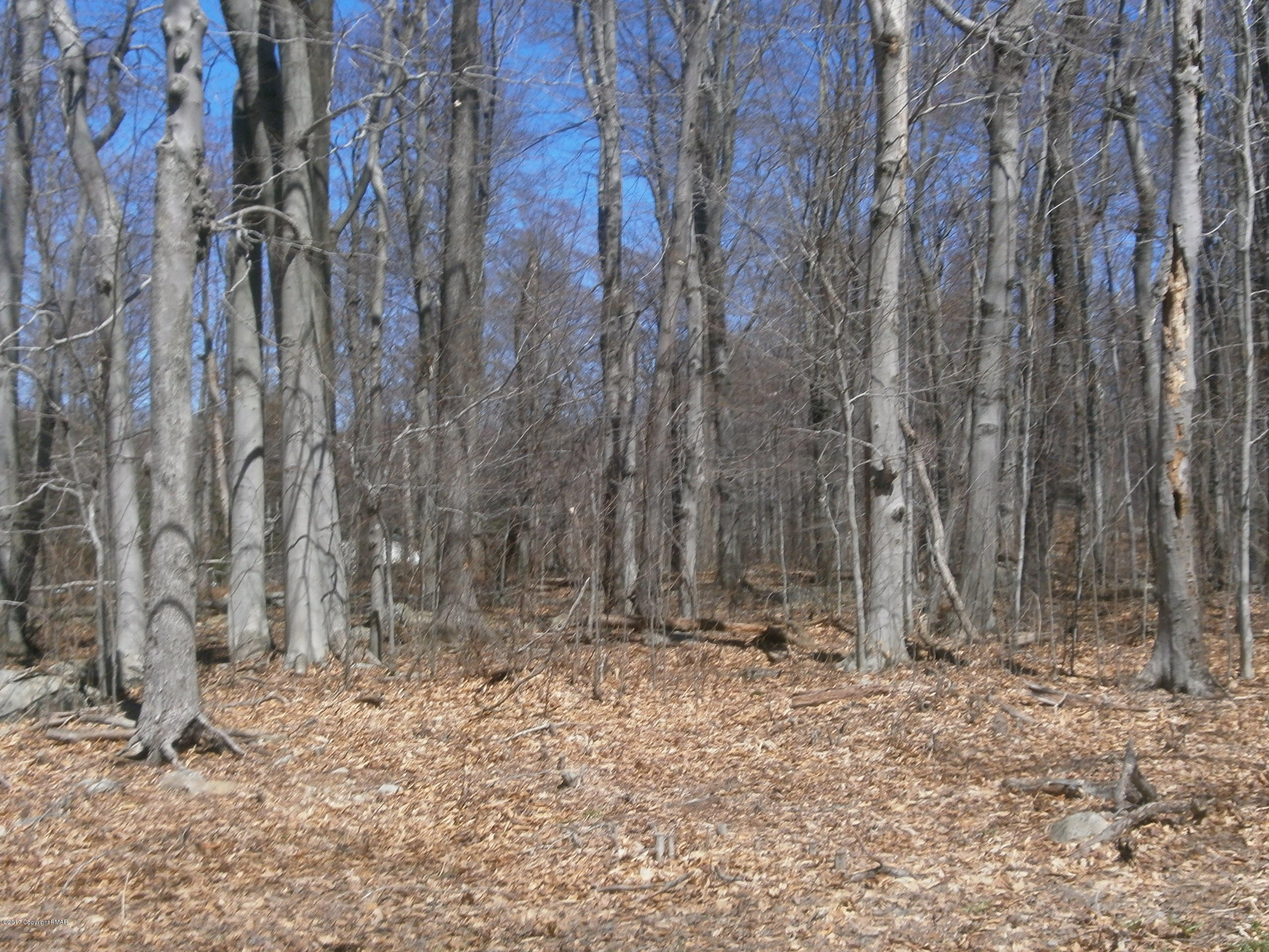 Logger Road Canadensis, PA 18325 - Photo 6 of 16 Logger Rd