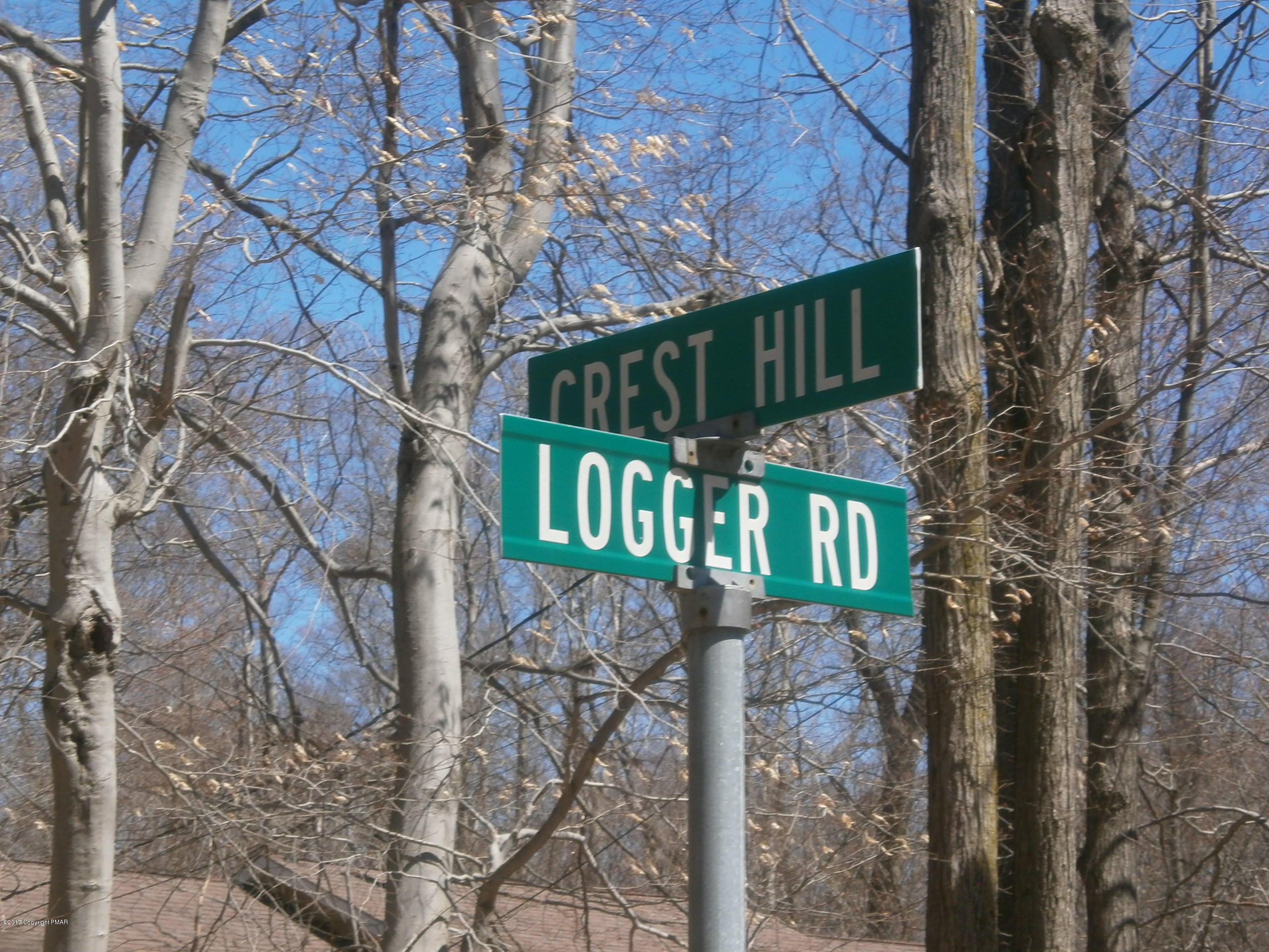 Logger Road Canadensis, PA 18325 - Photo 7 of 16 Road