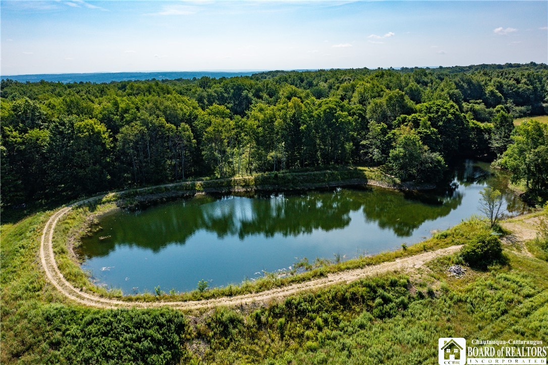 1546 Swede Road Harmony, NY 14710 - Photo 4 of 49 Back pond...stocked!