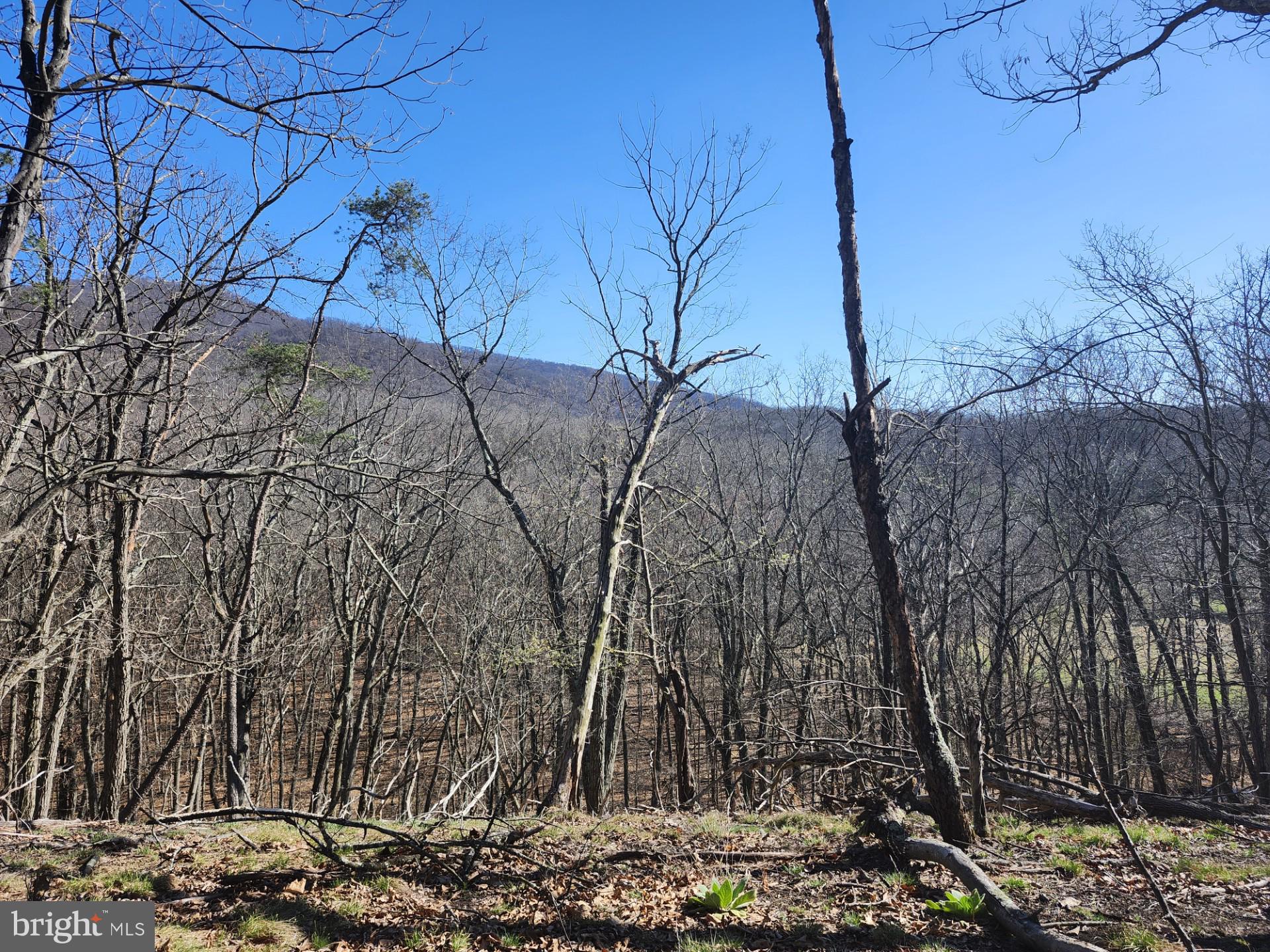 A J Kelley Road Old Fields, WV 26845 - Photo 43 of 65