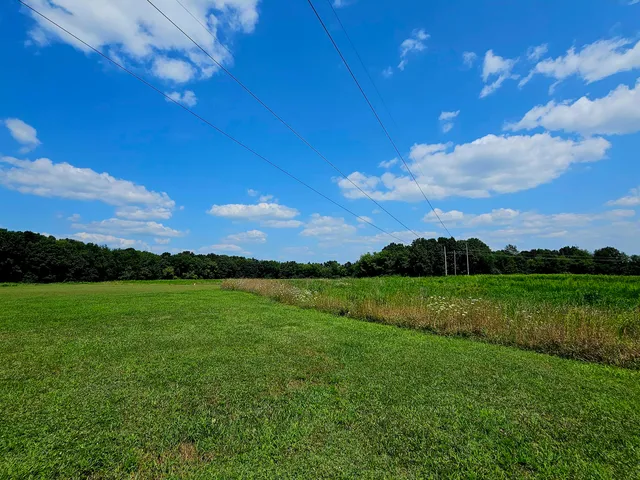 $1,850,000 | V/l West Carleton Road, Jonesville, MI 49250