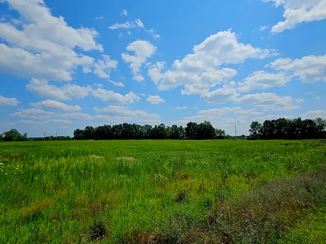 $1,850,000 | V/l West Carleton Road, Jonesville, MI 49250