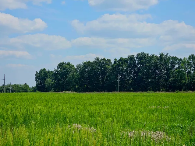 $1,850,000 | V/l West Carleton Road, Jonesville, MI 49250