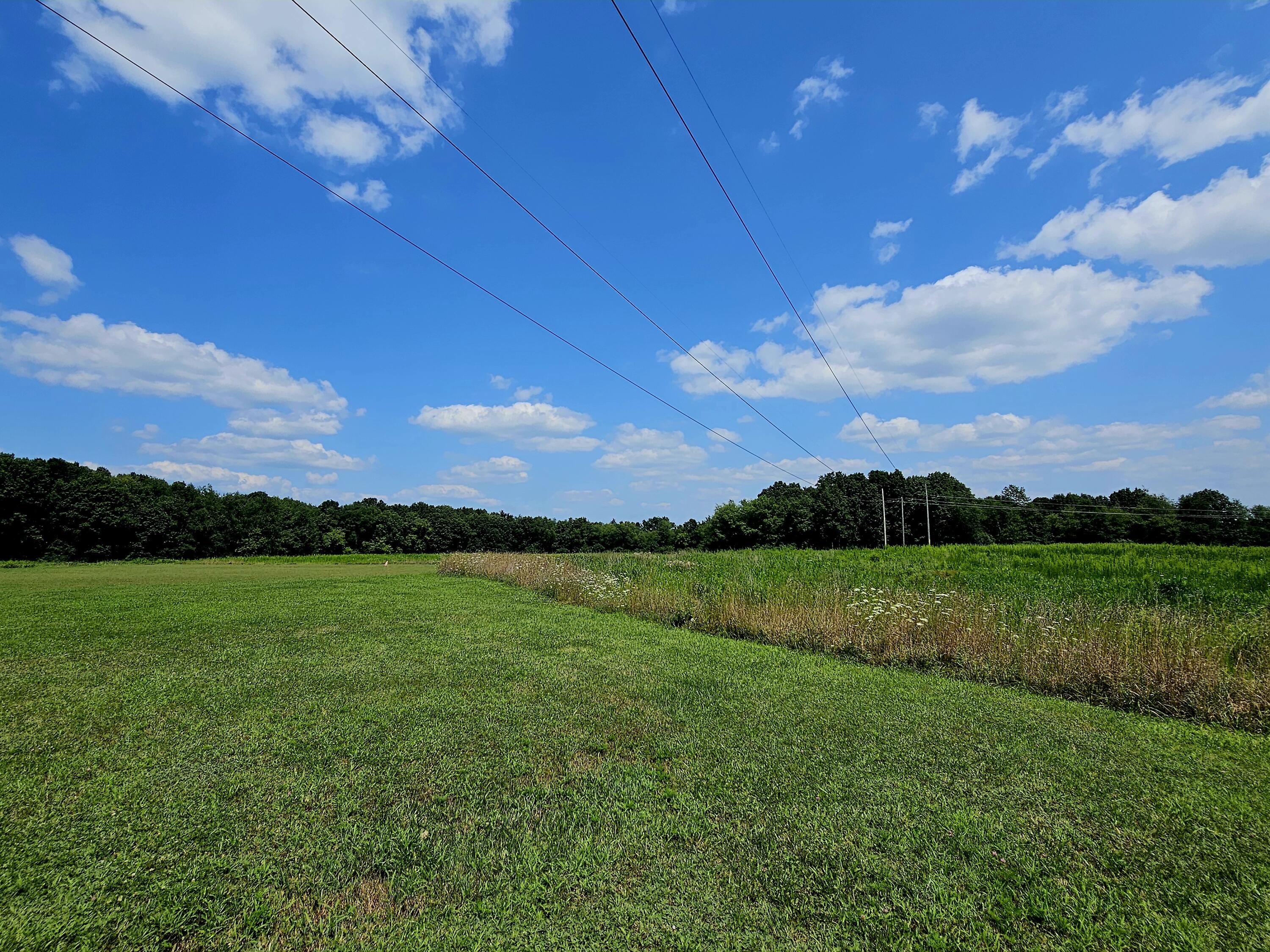 Vl West Carleton Road Jonesville, MI 49250 - Photo 13 of 29 1000026262