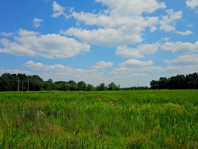 $1,850,000 | V/l West Carleton Road, Jonesville, MI 49250