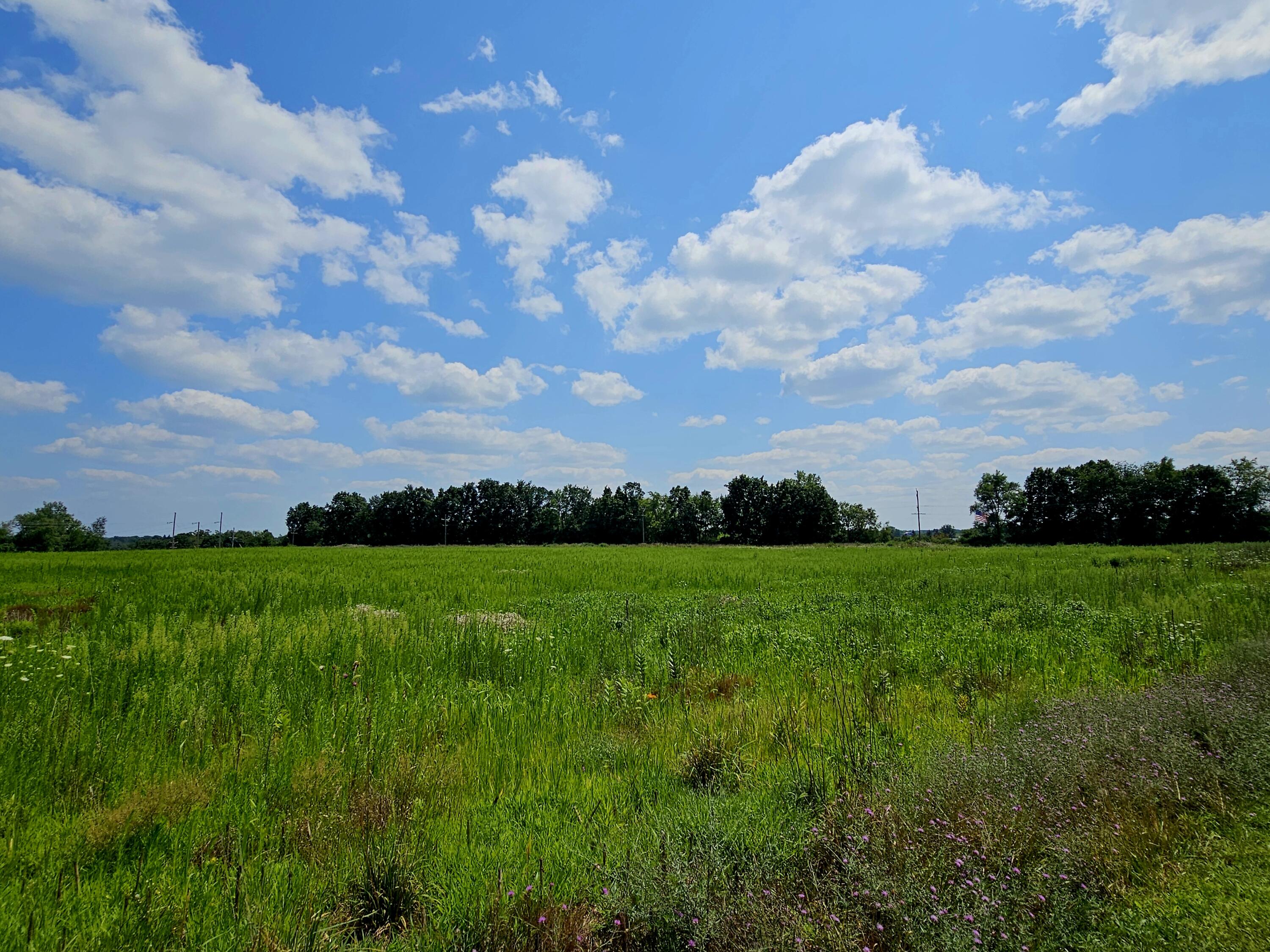 Vl West Carleton Road Jonesville, MI 49250 - Photo 14 of 29 1000026261