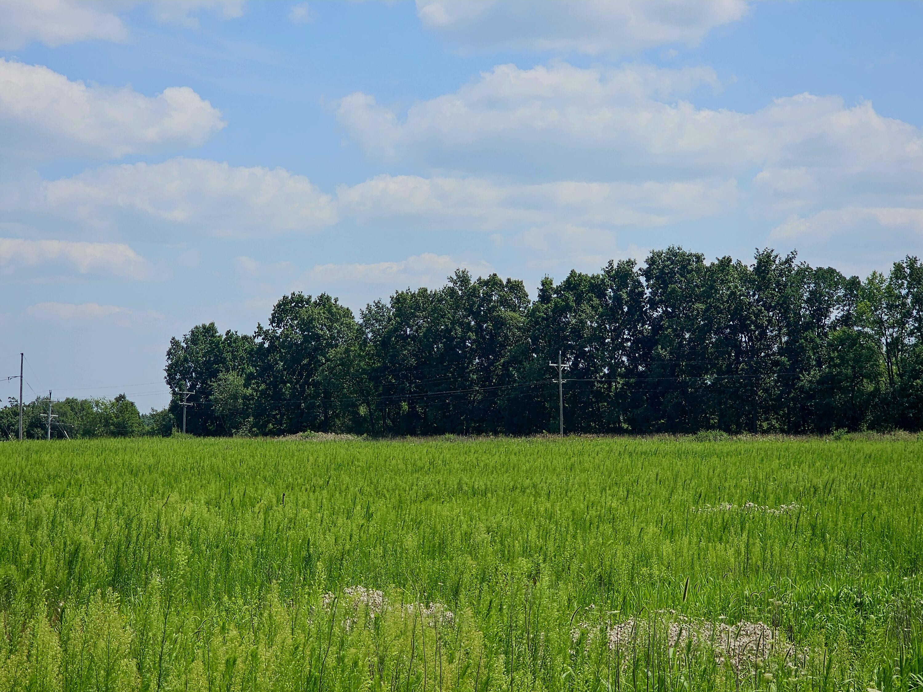 Vl West Carleton Road Jonesville, MI 49250 - Photo 15 of 29 1000026260