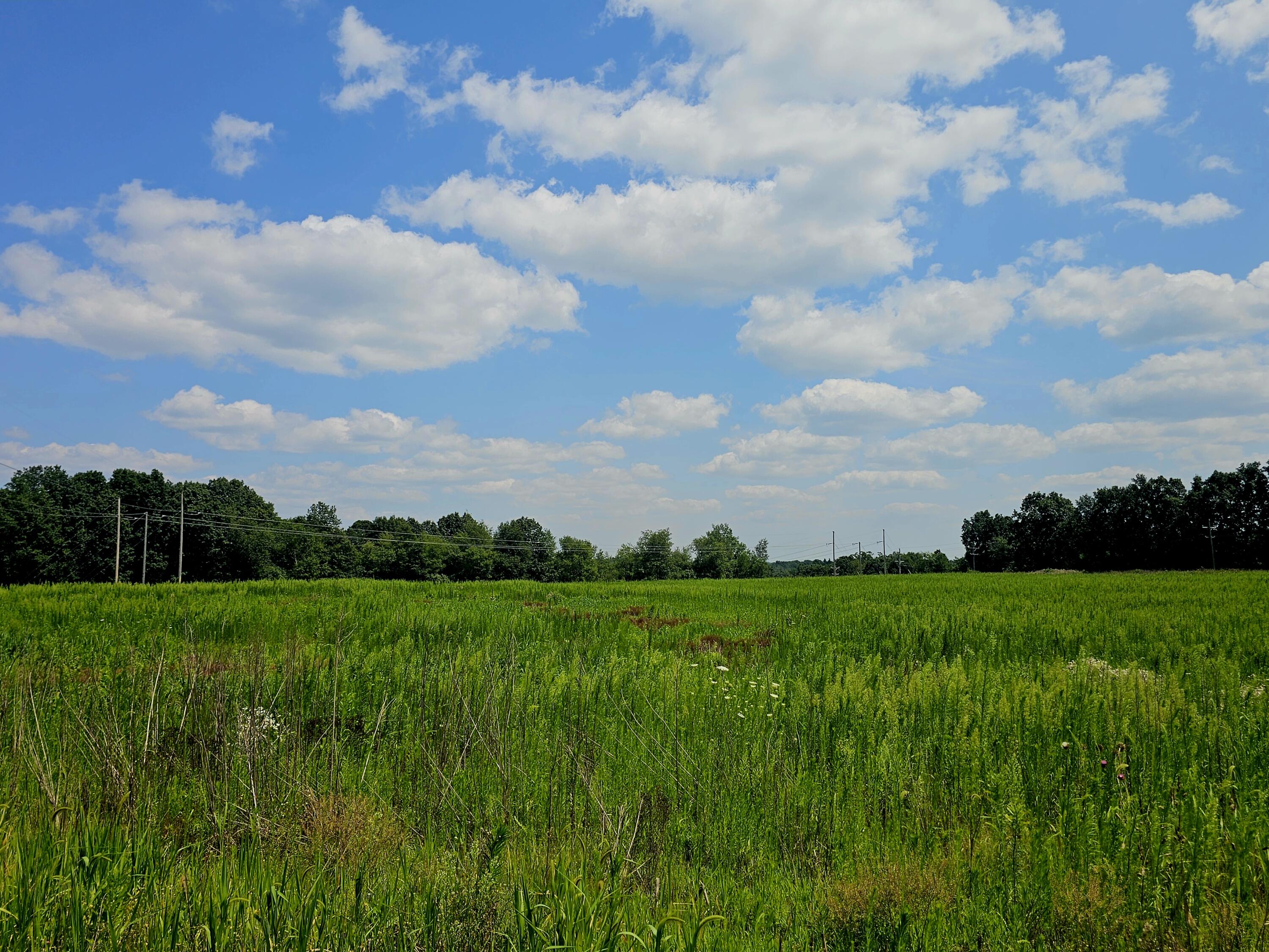 Vl West Carleton Road Jonesville, MI 49250 - Photo 16 of 29 1000026259